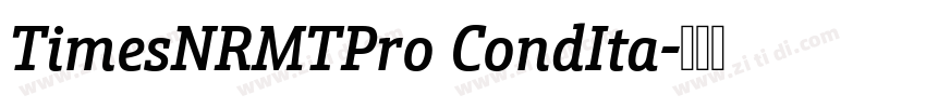 TimesNRMTPro CondIta字体转换
